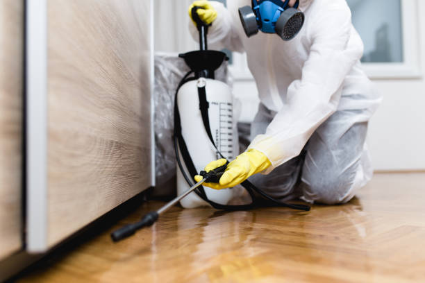Best Local Pest Control Services  in Marietta Alderwood, WA