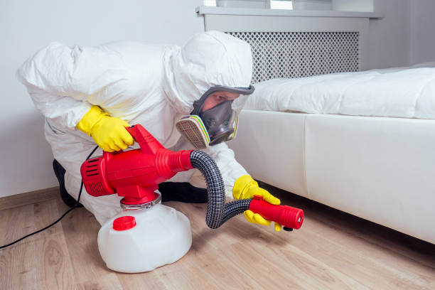 Insect Control in Marietta Alderwood, WA