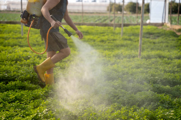 Best Pest Inspection Near Me  in Marietta Alderwood, WA