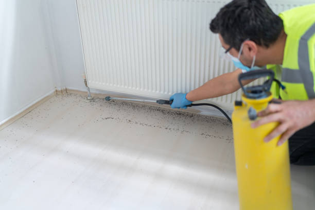 Best Commercial Pest Control Services  in Marietta Alderwood, WA