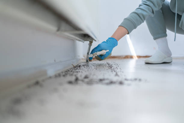 Trusted Marietta Alderwood, WA Pest Control Experts
